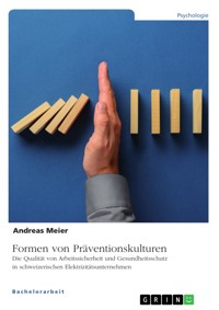 Formen von Präventionskulturen. Die Qualität von Arbeitssicherheit und Gesundheitsschutz in schweizerischen Elektrizitätsunternehmen - Andreas Meier - E-Book