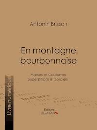 En montagne bourbonnaise - Antonin Brisson - E-Book