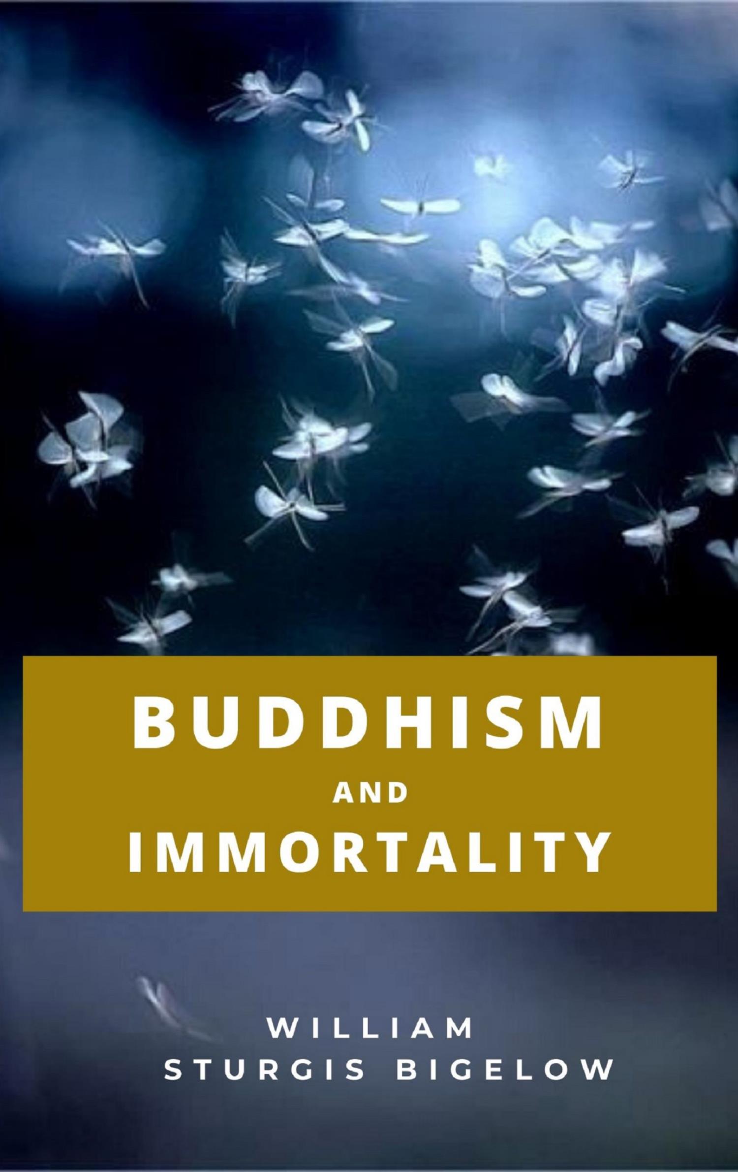 Buddhism and Immortality - WILLIAM STURGIS - E-Book