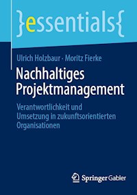 Nachhaltiges Projektmanagement - Ulrich Holzbaur - E-Book