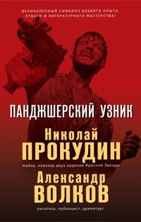 Панджшерский узник - Николай Прокудин - E-Book