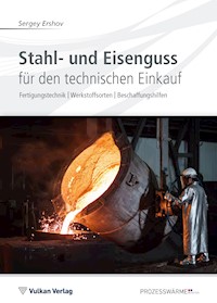 Stahl- und Eisenguss für den technischen Einkauf - Sergey Ershov - E-Book