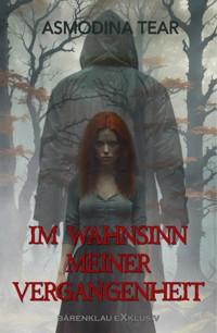 Im Wahnsinn meiner Vergangenheit - Asmodina Tear - E-Book