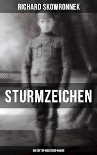 Sturmzeichen (Ein Erster-Weltkrieg-Roman) - Richard Skowronnek - E-Book