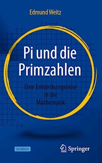 Pi und die Primzahlen - Edmund Weitz - E-Book