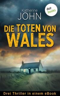 Die Toten von Wales - Katherine John - E-Book