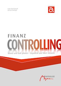 Finanz Controlling - Guido Kleinhietpaß - E-Book