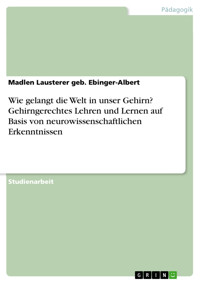 Wie gelangt die Welt in unser Gehirn? Gehirngerechtes Lehren und Lernen auf Basis von neurowissenschaftlichen Erkenntnissen - Madlen Lausterer geb. Ebinger-Albert - E-Book