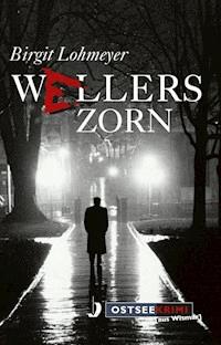Wellers Zorn - Birgit Lohmeyer - E-Book