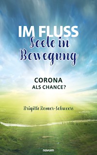 Im Fluss – Seele in Bewegung - Brigitte Romer-Schweers - E-Book