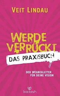 Werde verrückt – Das Praxisbuch - Veit Lindau - E-Book