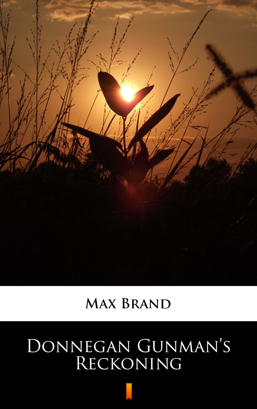 Donnegan Gunman’s Reckoning - Max Brand - E-Book