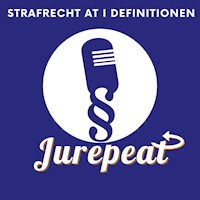 Strafrecht AT I Definitionen - Ahmet-Furkan Akgün - Hörbuch