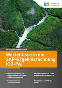 Werteflüsse in die SAP-Ergebnisrechnung (CO-PA) - Stefan Eifler - E-Book