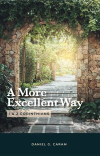 A More Excellent Way - Rev. Daniel G. Caram - E-Book