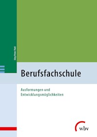 Berufsfachschule - Jörg-Peter Pahl - E-Book