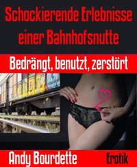 Schockierende Erlebnisse einer Bahnhofsnutte - Andy Bourdette - E-Book