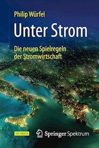 Unter Strom - Philip Würfel - E-Book