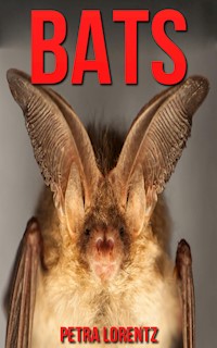 Bats - Petra Lorentz - E-Book