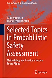 Selected Topics in Probabilistic Safety Assessment - Dan Serbanescu - E-Book