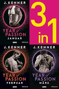 Year of Passion (1-3) - J. Kenner - E-Book