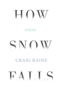 How Snow Falls - Craig Raine - E-Book