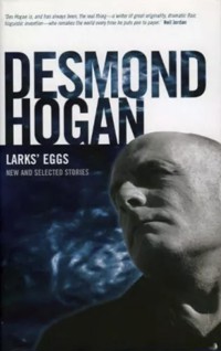 Larks' Eggs - Desmond Hogan - E-Book