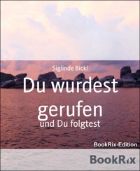 Du wurdest gerufen - Siglinde Bickl - E-Book