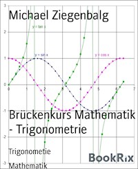 Brückenkurs Mathematik - Trigonometrie - Michael Ziegenbalg - E-Book