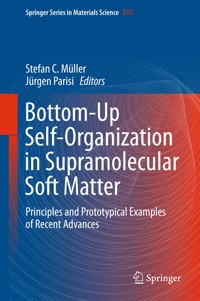 Bottom-Up Self-Organization in Supramolecular Soft Matter - - E-Book