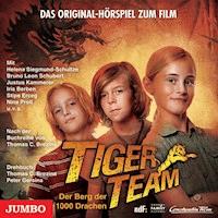 Tiger-Team: Der Berg der 1000 Drachen - Thomas C. Brezina - Hörbuch