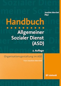 Organisationsgestaltung im ASD - Joachim Merchel - E-Book