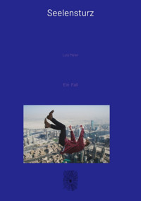 Seelensturz - Lutz Meier - E-Book