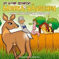 50: Warum haben Rehe einen weißen Po? - Kati Naumann - Hörbuch