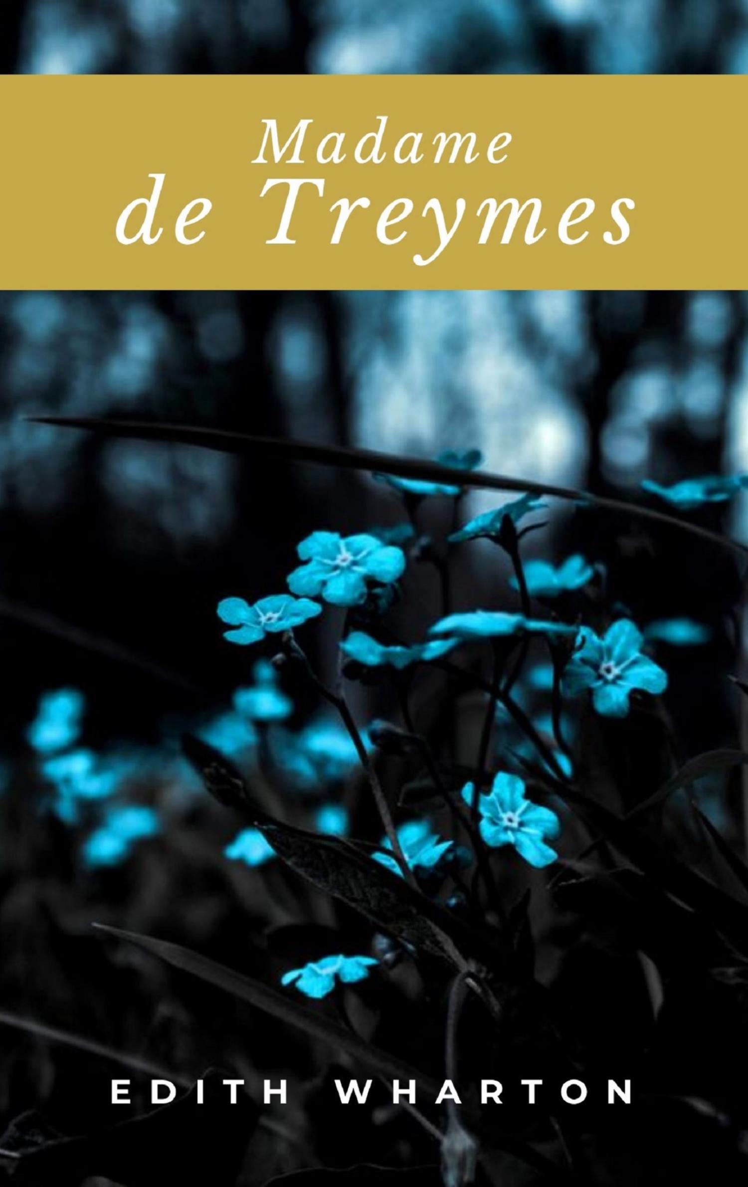 Madame de Treymes - Edith Wharton - E-Book