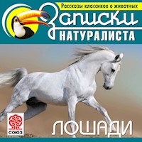  Лошади - Г. Бенно - Hörbuch