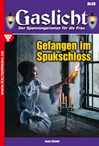 Gefangen im Spukschloss - Joan Garner - E-Book