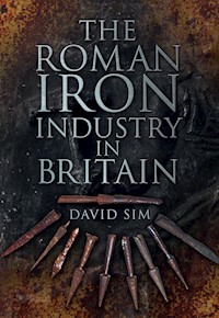The Roman Iron Industry in Britain - David Sim - E-Book