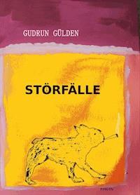 STÖRFÄLLE - Gudrun Gülden - E-Book
