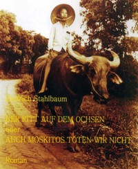 DER RITT AUF DEM OCHSEN oder AUCH MOSKITOS TÖTEN WIR NICHT - Dietrich Stahlbaum - E-Book
