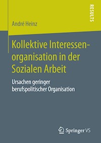 Kollektive Interessenorganisation in der Sozialen Arbeit - André Heinz - E-Book