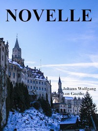 Novelle - Johann Wolfgang von Goethe - E-Book