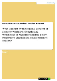 What is meant by the regional concept of a cluster? What are strengths and weaknesses of regional economic policy based upon creation and development of clusters? - Peter Tilman Schuessler - E-Book