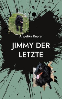 Jimmy der Letzte - Angelika Kupfer - E-Book