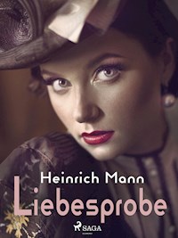 Liebesprobe - Heinrich Mann - E-Book