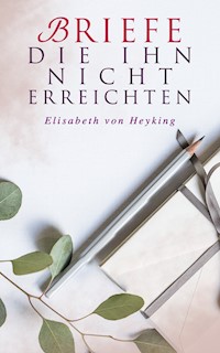 Briefe die ihn nicht erreichten - Elisabeth von Heyking - E-Book