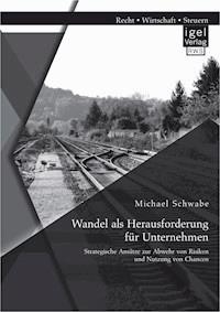 Wandel als Herausforderung für Unternehmen: Strategische Ansätze zur Abwehr von Risiken und Nutzung von Chancen - Michael Schwabe - E-Book
