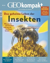 GEO kompakt 62/2020 - Das geheime Leben der Insekten - GEO kompakt Redaktion - E-Book