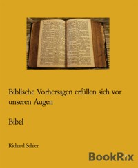 Jesu Prophezeiungen von damals, heute Realität - Richard Schier - E-Book