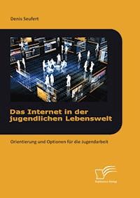 Das Internet in der jugendlichen Lebenswelt: Orientierung und Optionen für die Jugendarbeit - Denis Seufert - E-Book